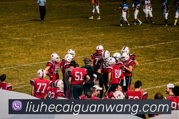 六合彩官网平台生态图