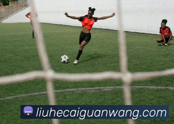 六合彩官网全站App